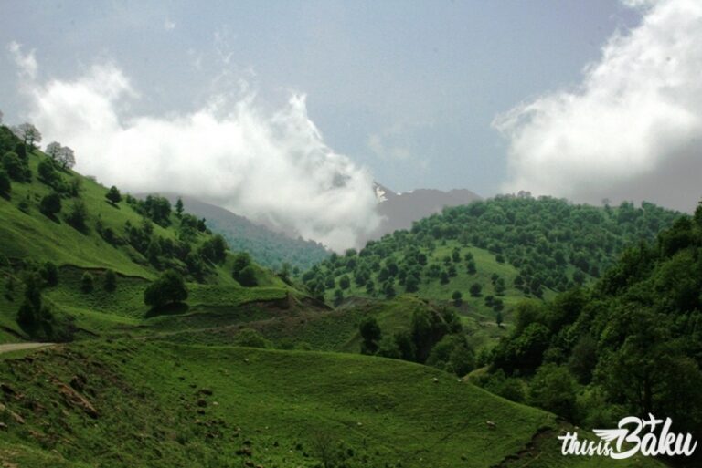 Azerbaijan Natural Heritage: From Forests to Deserts and Beyond